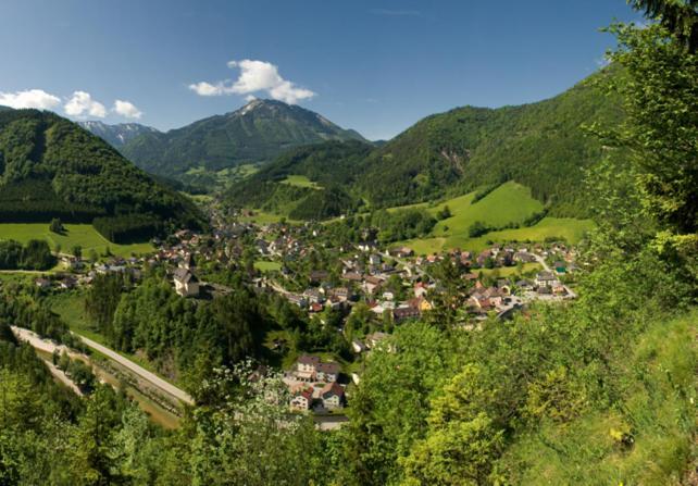 Ferienhof Schelchen Hollenstein an der Ybbs Exterior foto